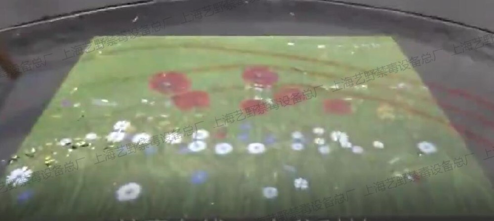 1675242914151689.jpg
